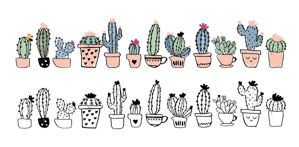 Set of linear drawing cacti in pots and colorful illustration isolated on a Stock Illustration