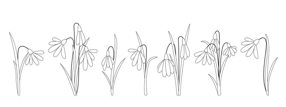 Set of linear illustrations of snowdrops Иллюстрация