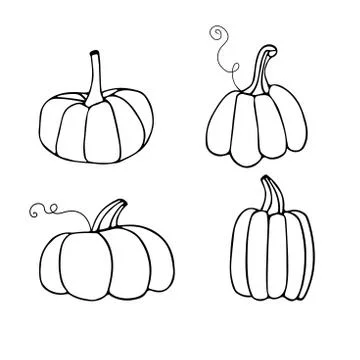 Set of linear pumpkins. Vector hand draw Illustration. October harvest Stock Illustration