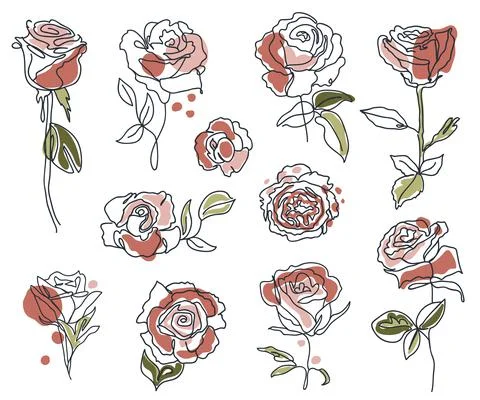 Set of linear roses and leaves. Stock Illustration