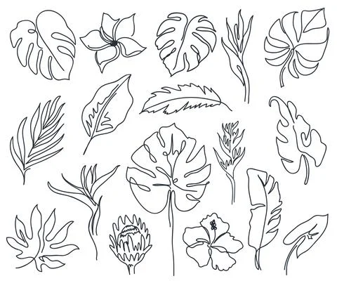Set of linear various flowers, monstera leaves and other leaves. Black and wh Stock Illustration