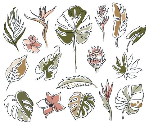 Set of linear various flowers, monstera leaves and other leaves. Black and wh Stock Illustration