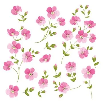 Set of Linen flowers elements Stock Illustration