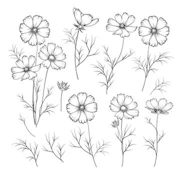 Set of linum flower elements. Collection of flax flowers on a white background. Stock Illustration