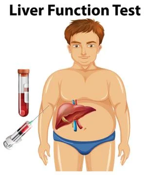 Set of liver function test with human body for education Stock Illustration