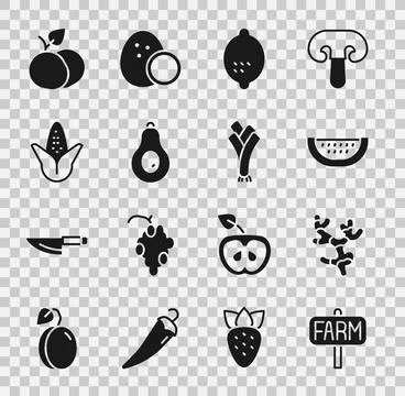 Set Location farm, Ginger root, Watermelon, Lemon, Avocado, Corn, Mango fruit Stock Illustration