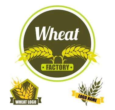 Set logo vector wheat factory. Circle green badge with gold Stock Illustration