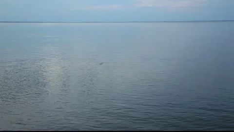 Set of long and nice traces of the stones on water surface Stock Footage 10892806