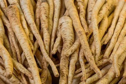 Set of long beige root coriander many fruits base vegetable basis ingredients Stock Photos