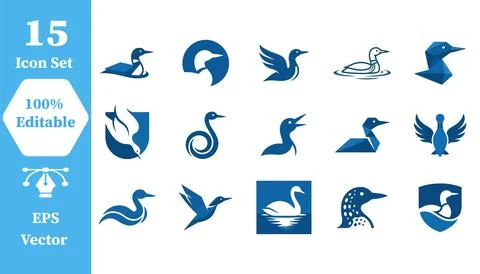 Set of loon bird icons featuring elegant aquatic wildlife illustrations 库存插图