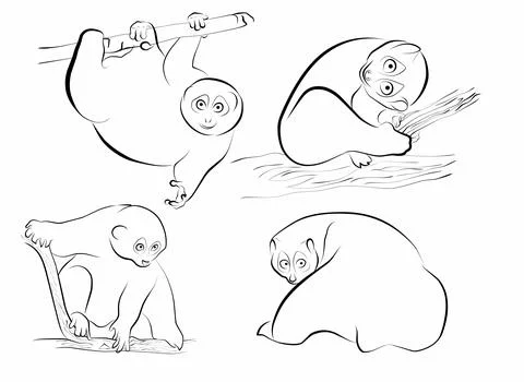 Set loris funny outline vector element Stock Illustration