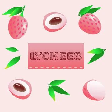 Set of Lychee Fruit with Leaves Design elements. Flat vector illustration. Stock Illustration