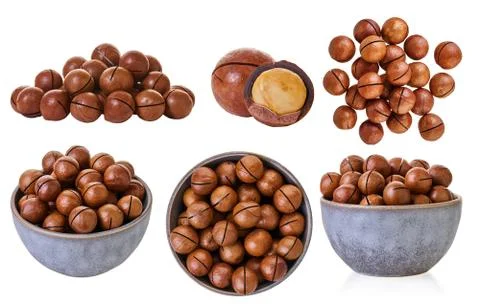 Set of macadam nuts with clipping path Stock Photos
