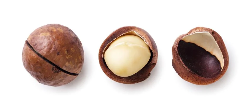 Set of macadamia nut, kernel and shell on a white background. Top view Foto stock