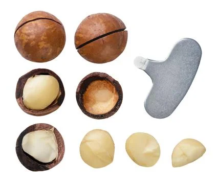 Set of macadamia nuts, halves, kernels and key on white background. Isolated Stock Photos