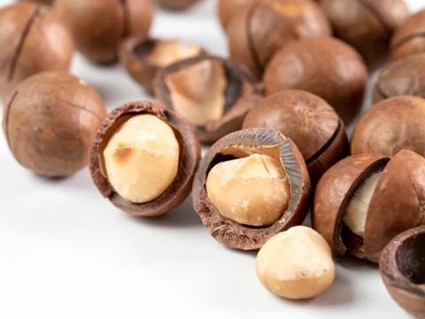 Set macadamia nuts isolated Stock Photos