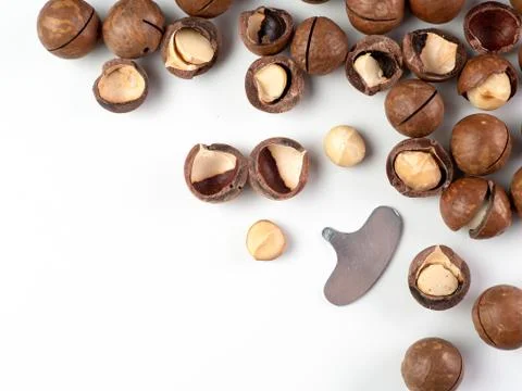 Set macadamia nuts isolated Stock-Fotos