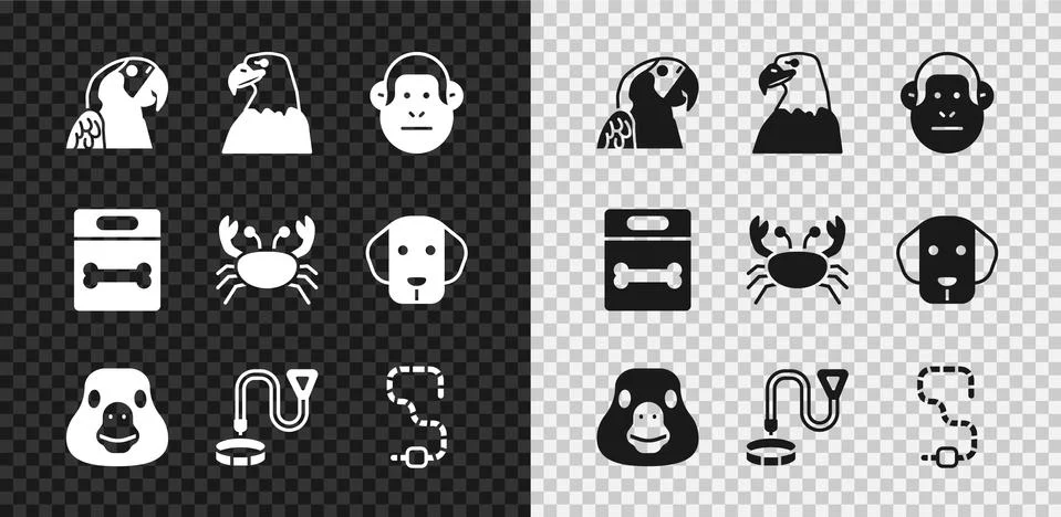 Set Macaw parrot, Eagle head, Monkey, Goose bird, Collar with name tag, Worm Stock Illustration