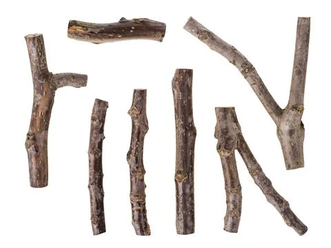 Set of macro dried tree branches isolated on white Stock Photos