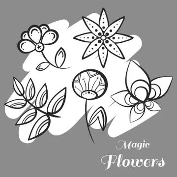 Set Magic Flowers On Gray Stock Illustration