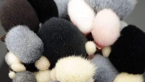 Set of makeup brushes on a black background. Makeup brushes rotate. Stock Footage 128191311