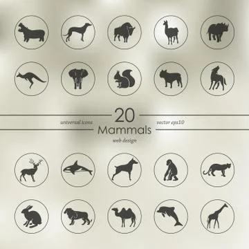 Set of mammals icons Stock Illustration