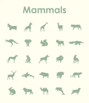 Set of mammals simple icons Stock Illustration
