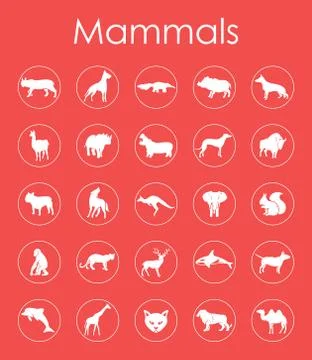 Set of mammals simple icons イラスト素材