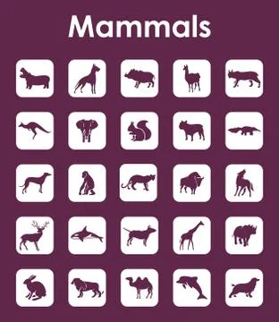 Set of mammals simple icons イラスト素材