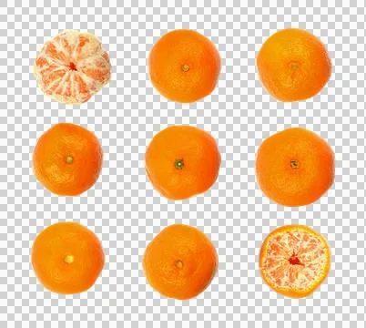 Set of mandarin. Oranges isolated on transparent background Stock Illustration