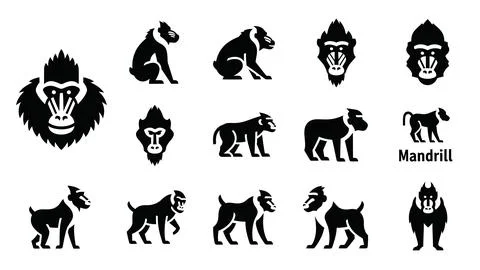 Set of mandrill monkey icons in black and white minimalist style. Stock Illustration