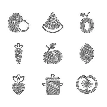 Set Mango fruit, Cooking pot, Tomato, Lemon, Turnip, Carrot, Plum and Coconut Stock Illustration