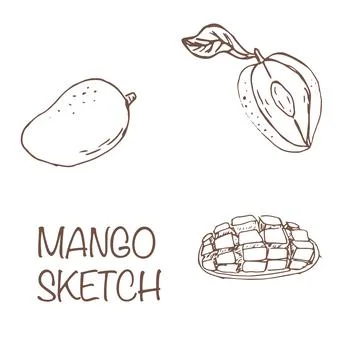 Set of mango sketch in different sliced イラスト素材