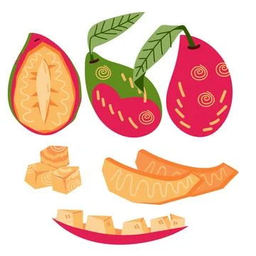 Set of mango vector design elements flat vector illustration isolated. イラスト素材