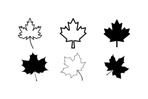 Set of Maple Leaf Icons in Various Styles. Vector illustration design. Stock Illustration