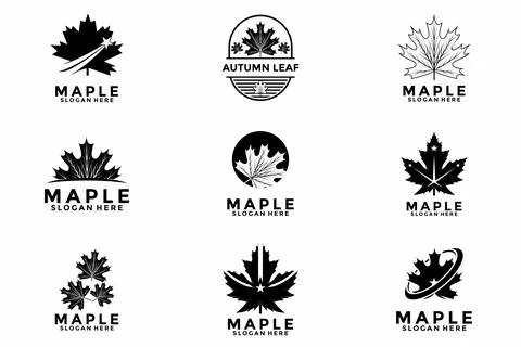 Set of Maple leaf logo design vector illustration, Maple Canada Leaves Natu.. Illustrazione stock