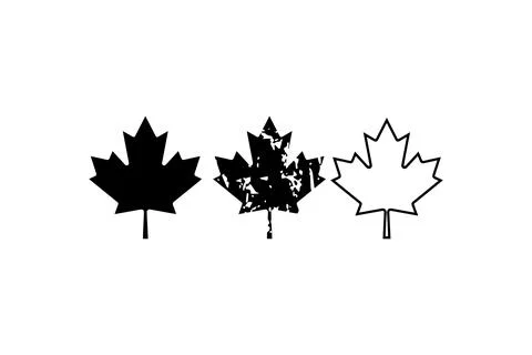 Set of Maple Leaf Silhouettes. Vector icon. Stock Illustration