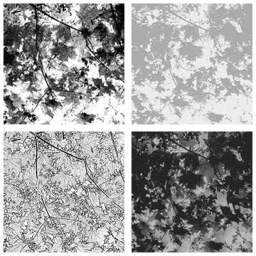 Set of maple leaf textures 库存插图