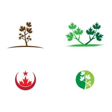 Set Maple leaf vector illustration 库存插图