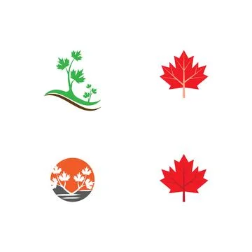 Set Maple leaf vector illustration 库存插图