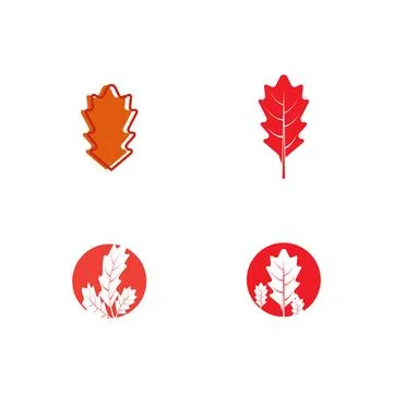 Set Maple leaf vector illustration Illustrazione stock