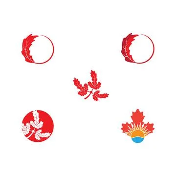 Set Maple leaf vector illustration Stock Illustration