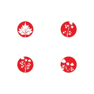 Set Maple leaf vector illustration Stock Illustration