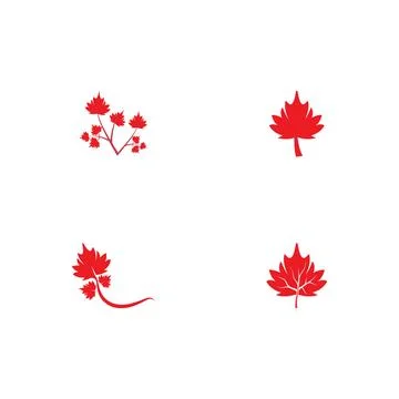 Set Maple leaf vector illustration Illustrazione stock