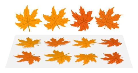 Set of maple leaves Stock Illustration