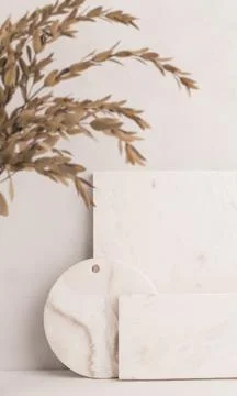 Set of marble trays Stock Photos