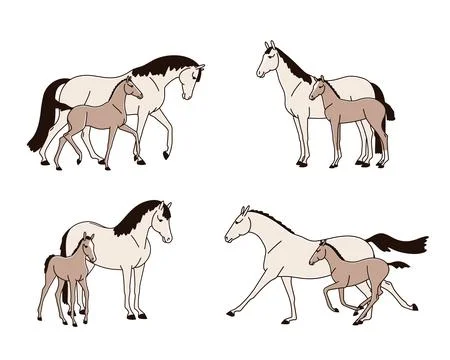 Set of mares with foals Stock Illustration
