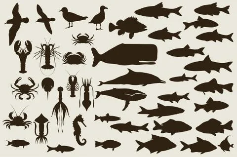 Set of marine animals. vector Stock Illustration