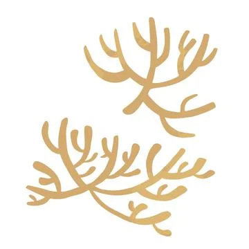 Set of marine vector plants,  drawn algae Stock Illustration