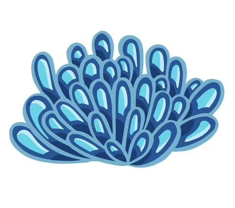 Set of marine vector plants, drawn algae 스톡 일러스트